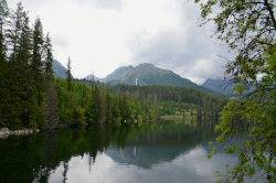 A mountain lake with trees and mountains in the background with a ski jumping hill in the middle