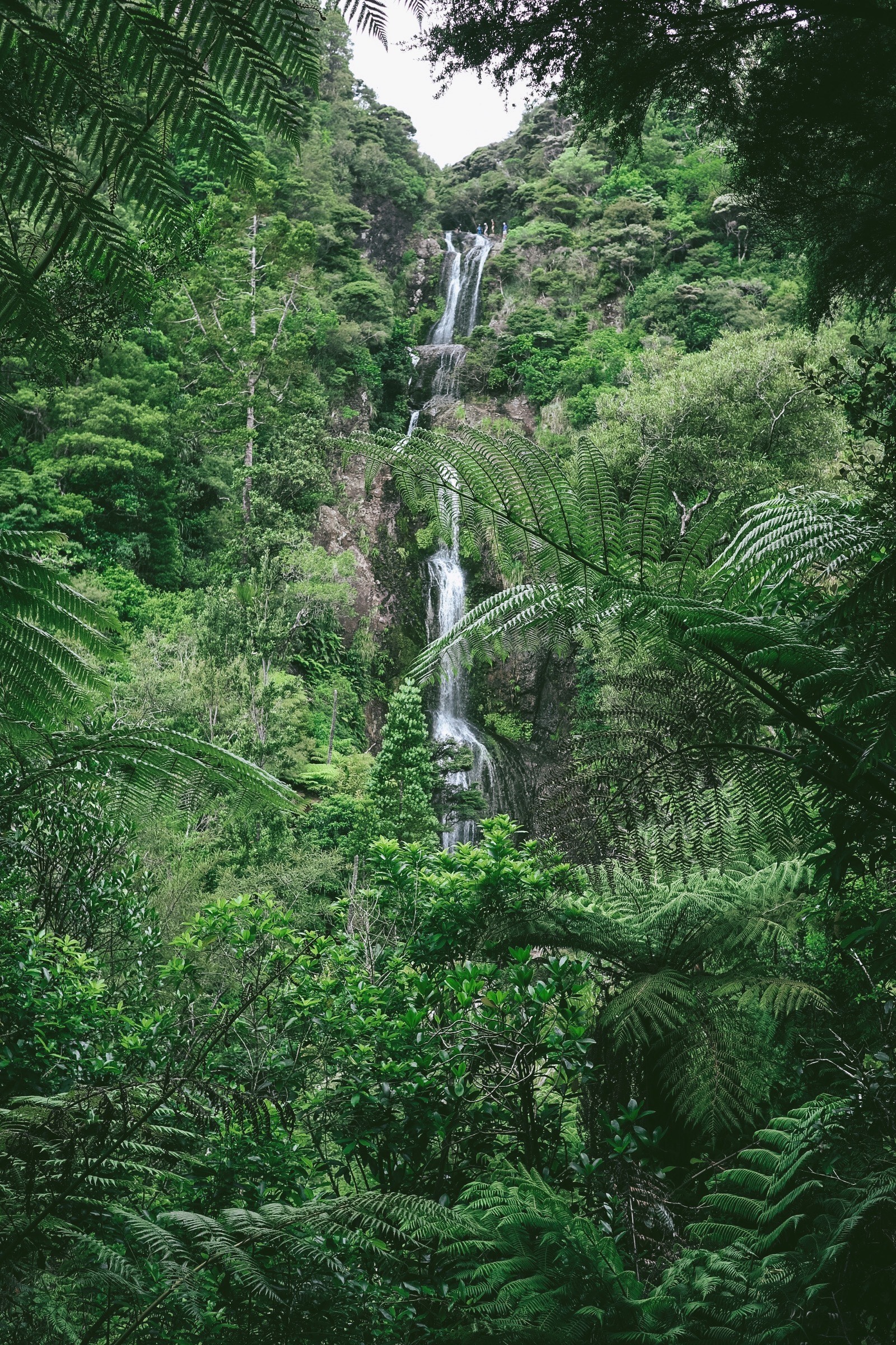 Waterfall, New Zealand