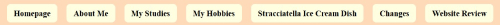 An example of the navigation without concurrent page indicator.