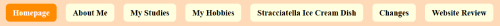 An example of the navigation with hover indication.