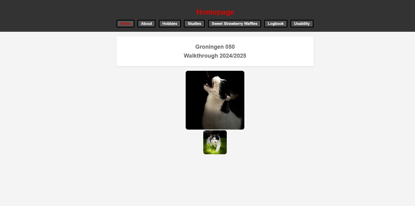Screenshot of reviewed website
