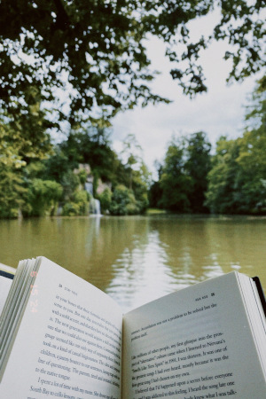 A peaceful view with a book in hand